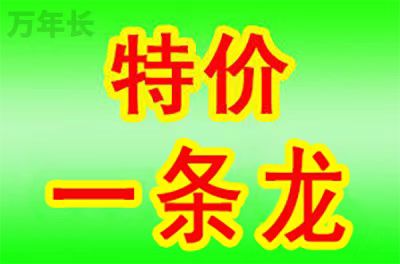 咸阳陕西省咸阳市渭城区墓地怎样买？